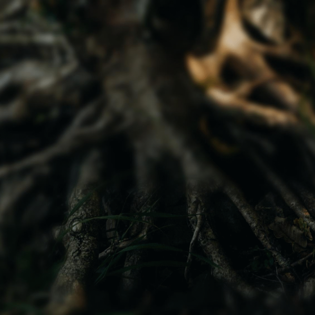 Newsletter image for The Elevatexec Brief – From Clarity to Conviction to Instinct, summarising the first three stages of the Root-to-Result® leadership model.